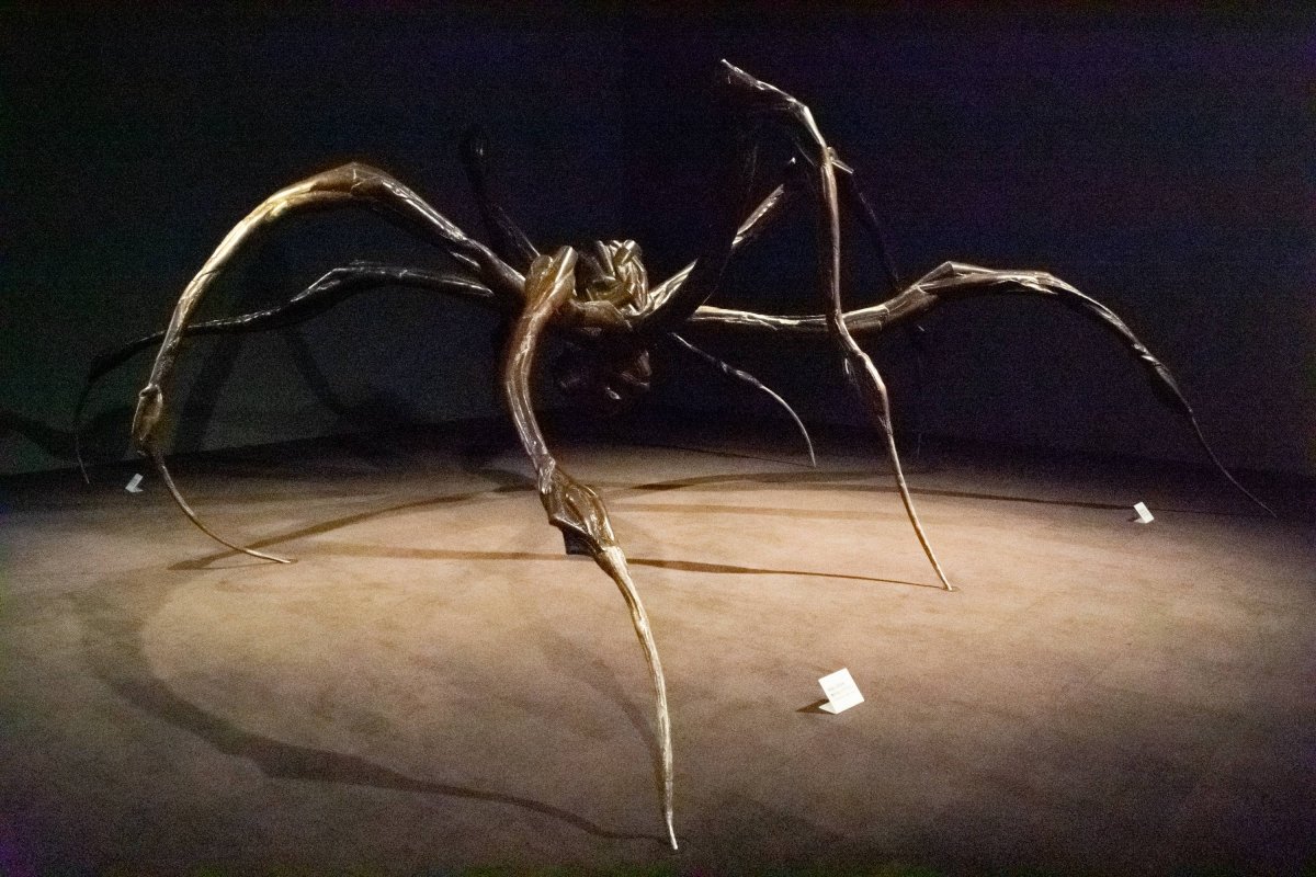 🏛️ 효고 현립 사람과 자연의 박물관(효고켄리츠 히토토시젠노하쿠부츠칸) 이미지 10